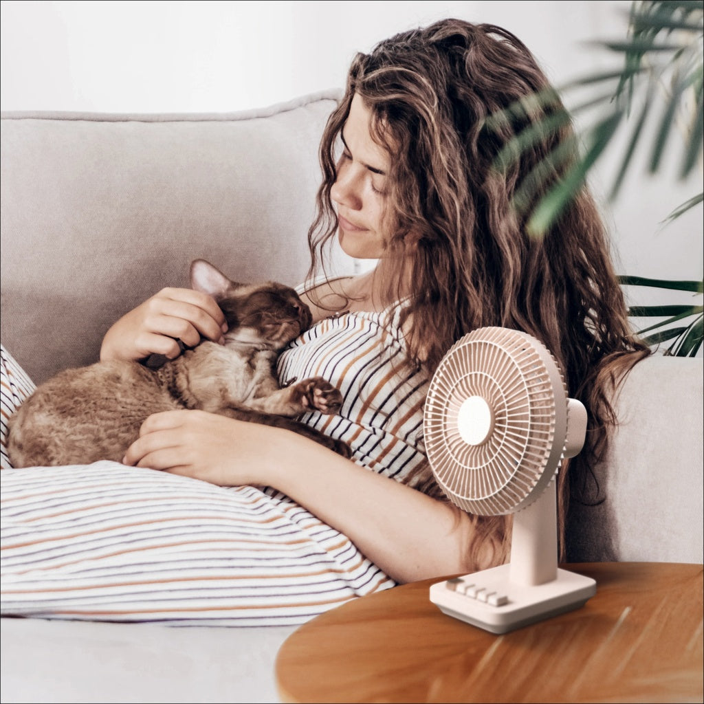 MOMAX 1°POD MINI DESKTOP FAN