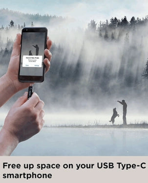 SANDISK ULTRA DUAL DRIVE GO USB TYPE C FLASH DRIVE - 128GB