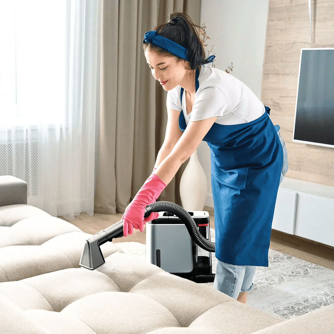 Green Lion Spot Cleaner Pro - Gray Green Lion Spot Cleaner Pro - Gray