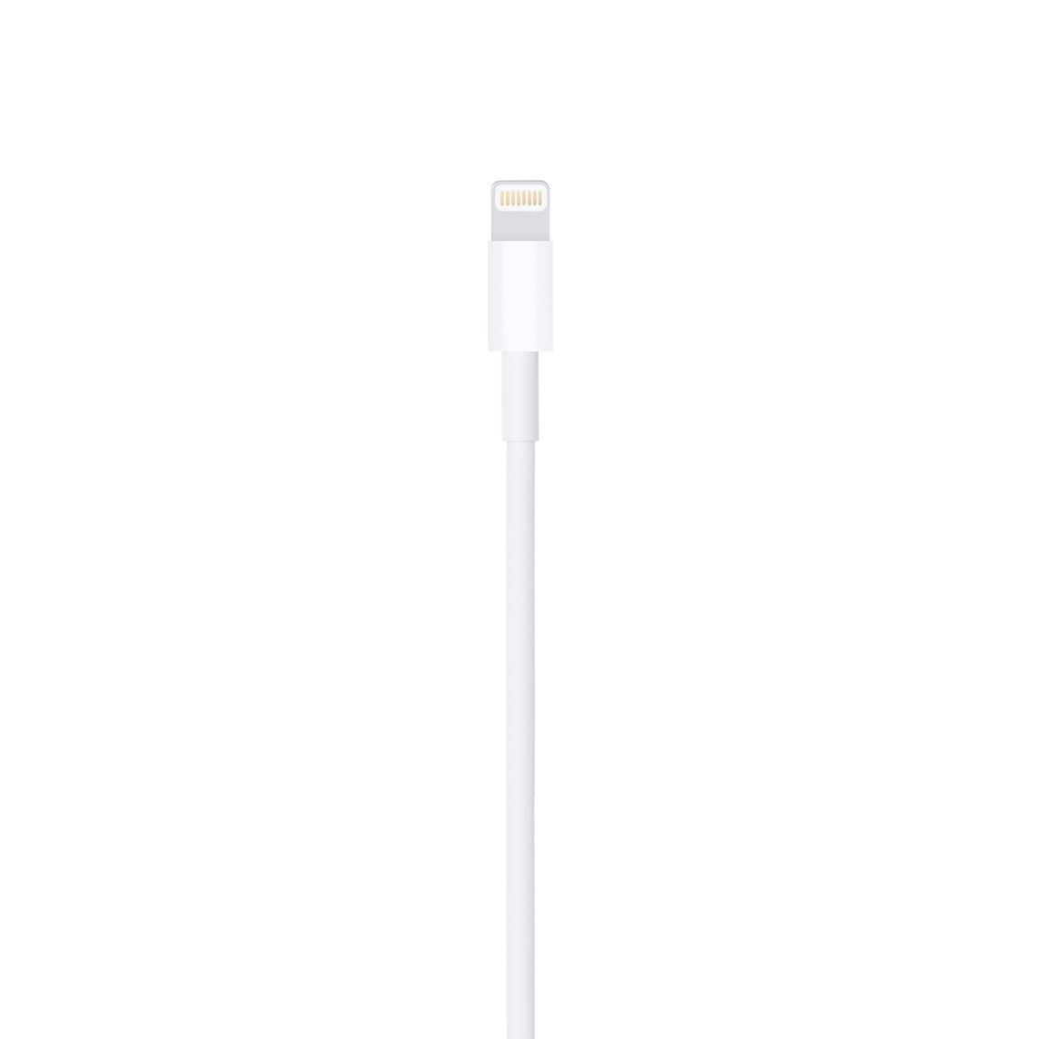 Apple Lightning to USB Cable (1 m) Apple Lightning to USB Cable (1 m)