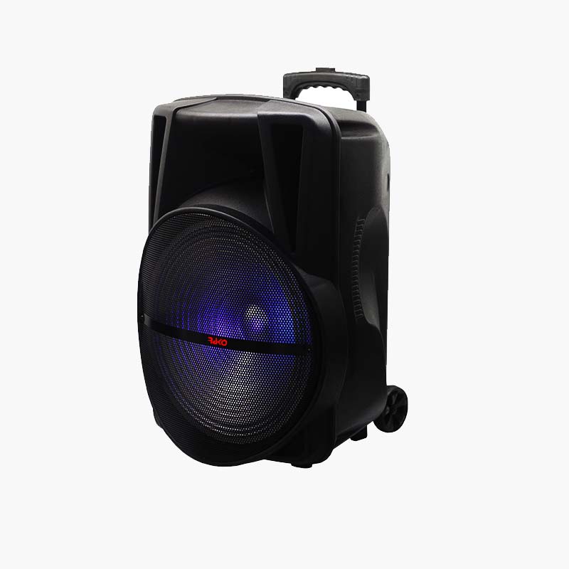 Rako SoundTech Pro Bass+ with 2 Mic Rako SoundTech Pro Bass+ with 2 Mic