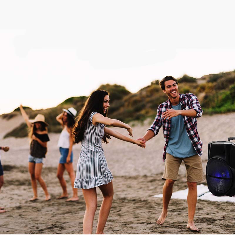 Rako SoundTech Pro Bass+ with 2 Mic Rako SoundTech Pro Bass+ with 2 Mic