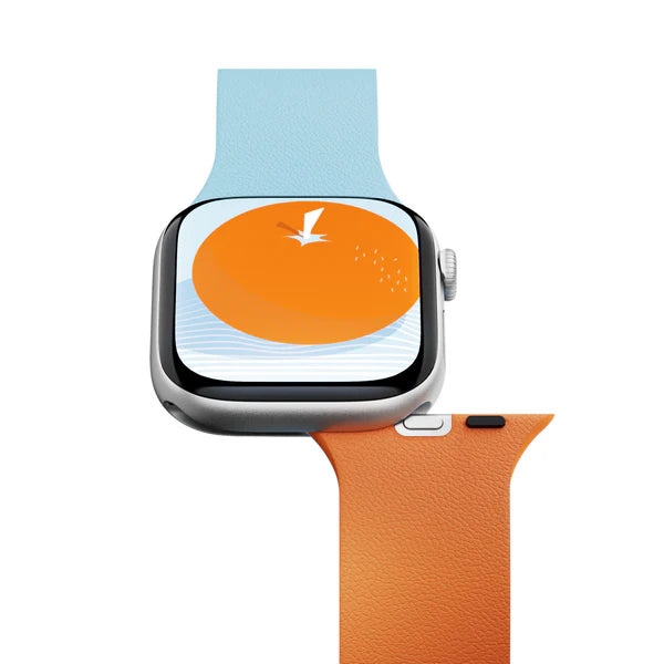 Moft Duo Snap Apple Watch Band Sunrise + Soothing Mist | 42mm