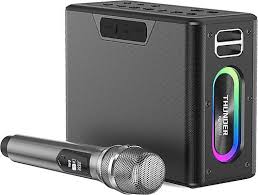Thunder Speaker P19 - Black - Best Buy Tech