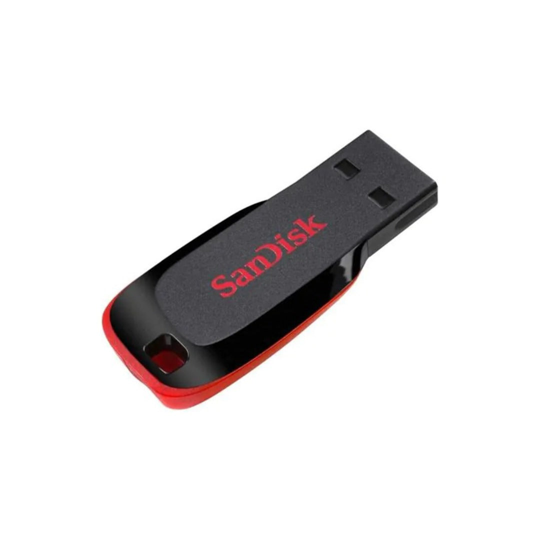 SanDisk Flash Drive