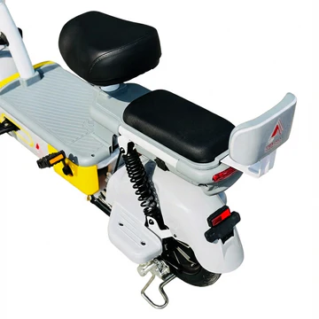 X1 Iconic Electric scooter