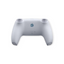 Astro Bot Limited Edition Controller